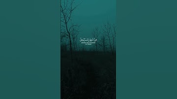﴿لُعِنَ الَّذِينَ كَفَرُوا مِنْ بَنِي إِسْرَائِيلَ﴾ القارئ ماهر المعيقلي