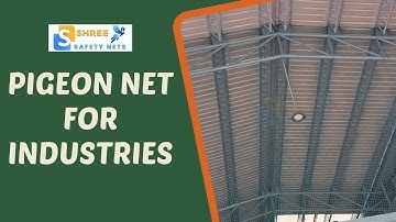 Pigeon Net for Industries Effective Solutions by Shree Safety Nets Chennai #shreesafetynets #chennai