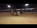 Leonardo Miranda VS Conquistador.                      31° Rodeio Intermunicipal Campeiros do Irapuá