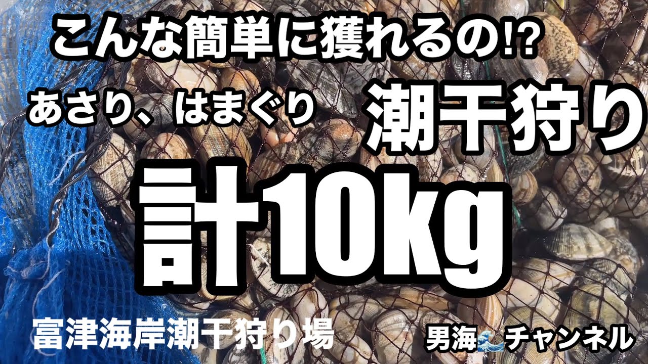 富津海岸潮干狩り場。スポット選びが重要？初スポットでアサリと蛤がどれだけ獲れたか？携帯電話での撮影。画像の乱れブレ等ございます。ご理解いただける方のみのご視聴宜しくお願い致します。
