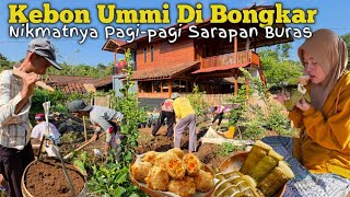HIDUP DI DESA | SEDIH.. 🥹 KEBUN KESAYANGAN UMMI RAHMI HARUS DI BONGKAR