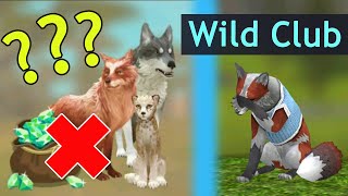 ПОДПИСКА WILD CLUB ЗАКОНЧИЛАСЬ! Пропадут вещи, логово или нет? Ответы на вопросы в WildCraft! ПОДПИСКА WILD CLUB ЗАКОНЧИЛАСЬ! Пропадут вещи, логово или нет? Ответы на вопросы в WildCraft!