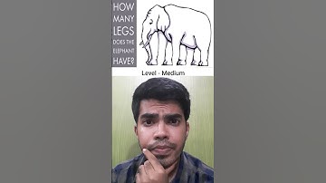 How many legs does elephant have? #shorts