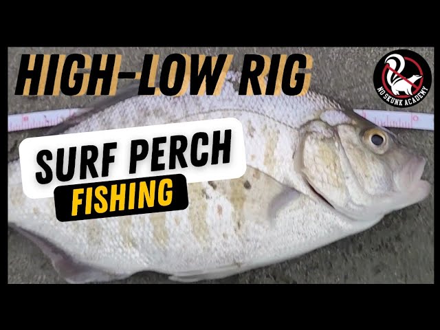 Barred Surf Perch Fishing: How to Set up the Carolina Rig for