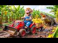 Monkey Drives JCB Tractor to Harvest Bananas & Attacked by a Crocodile | Monkey Farm Work