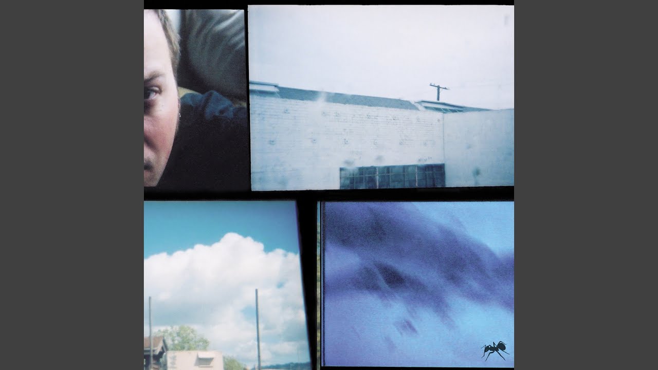 Watch Caged in, Wasting Away on YouTube