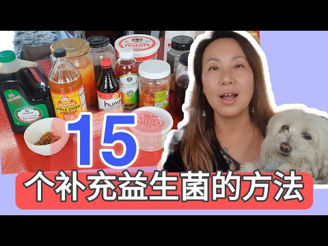 15种食品和方法补充益生菌， 建立健康肠道菌群， 提供免疫力! 15 ways to build better gut microbiome and improve immunity