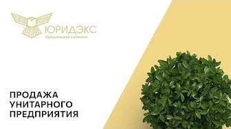 Продажа унитарного предприятия