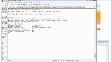 04.02-01_Oracle_10gR2_RACDG_4.2 Step1 Enable Archive Mode(2012_01_13).flv
