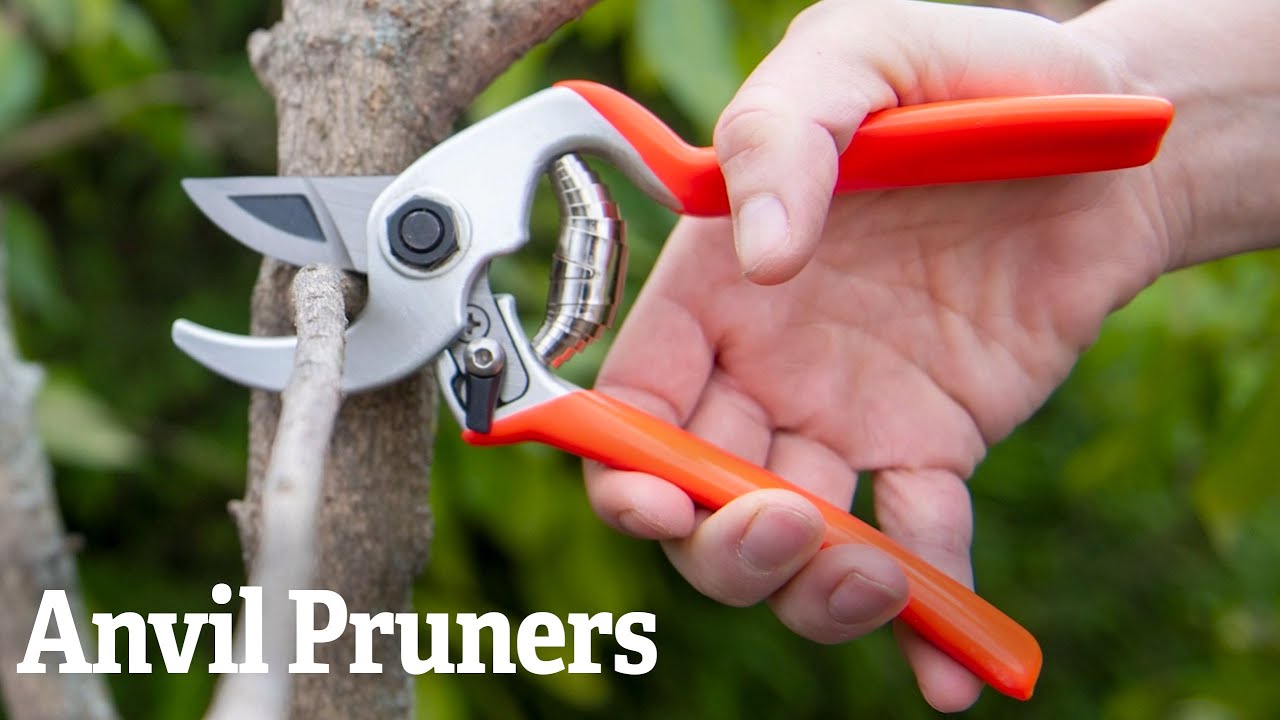 Heavy Duty Anvil Pruner