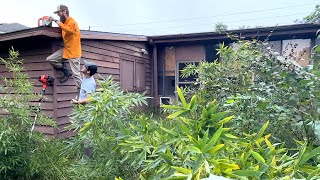 Owner went to JAIL and the BANK TOOK HIS HOUSE  It hasn’t been CUT IN YEARS