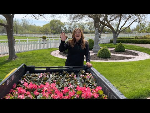 Planting Begonias & Impatiens! 🌿💚🌸 // Garden Answer