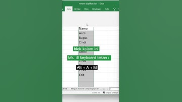 3 Detik Hapus data duplikat 1 kolom