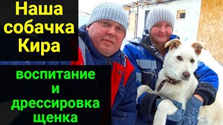 Наша собачка Кира. Воспитание и дрессировка щенка!