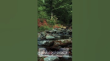 أدهم نابلسي سورة الزمر أية 53 صوت يريح النفس