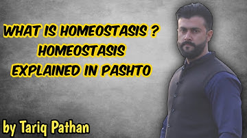 What is Homeostasis ? Homeostasis explained in Pashto by Tariq Pathan