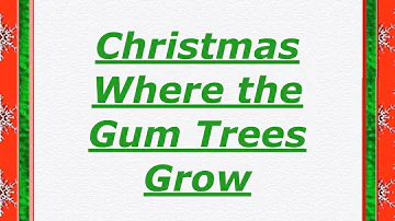 Christmas Where the Gum Trees Grow lyrics in G