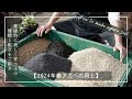 【2024年春アガベの用土】健康的に美しく育つ土の種類と配合をご紹介