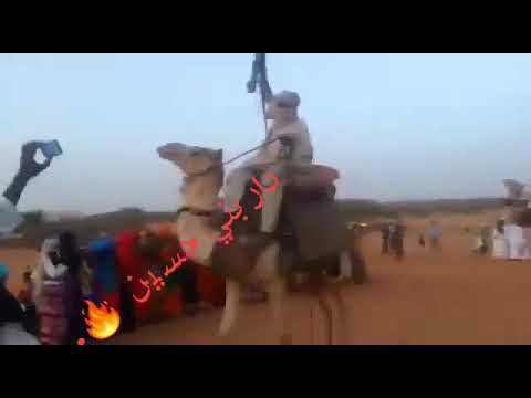 دار بني حسين الرفاعه 