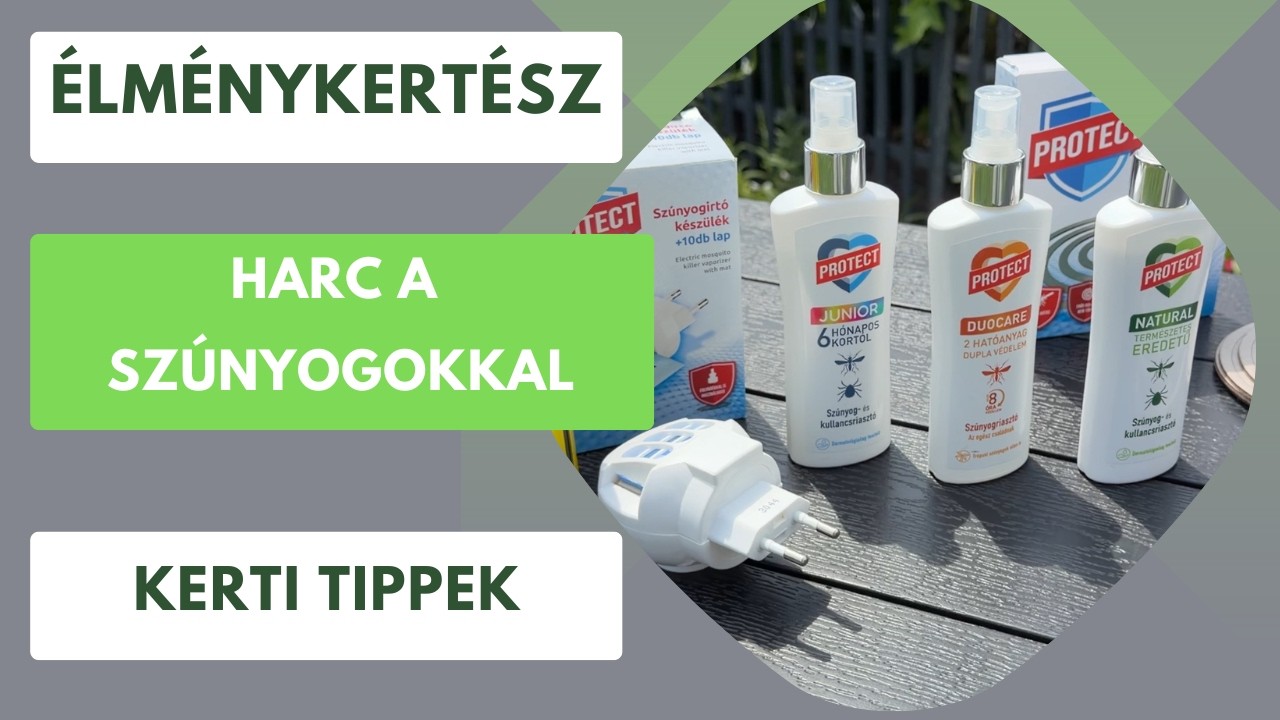 Hogyan védekezzünk a szúnyogok ellen? A legjobb megoldások🦟 Protect termékek szúnyogok ellen