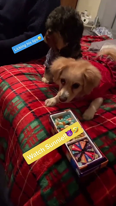 Caught in the Act: Bean Guardians! #fok