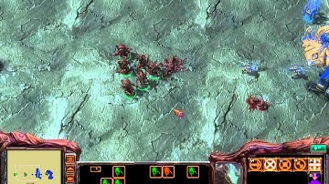 Starcraft 2 - Custom Race Neo Zerg tech demo 7-1