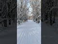 Зимние прогулки.   #snow #nature #природаказахстана #winter #travel #путешествия