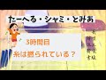 【ケビン、糸ほぐし始めました!の巻】長唄三味線 解体新書3「たーへる・シャミ・とみあ」~お三味線の糸って、絹糸らしいし、何本も撚ってあるらしいよ~長唄三味線 松永鉄奈の目線