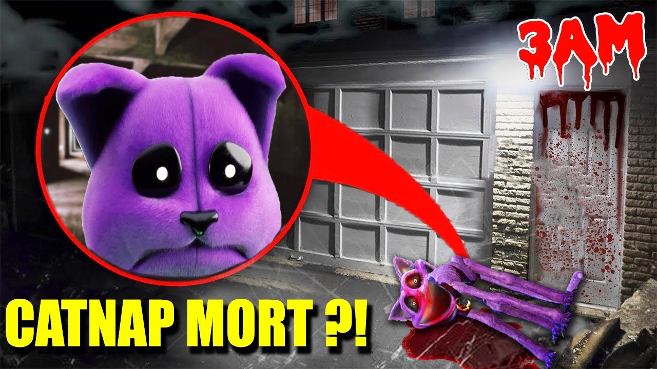 MON DRONE À TROUVÉ LE CATNAP MORTS DANS LA VRAIE VIE !! (CATNAP EST MALADE, IL FAUT LE SOIGNER !)