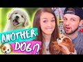 WE'RE GETTING ANOTHER DOG!? 🐶💕