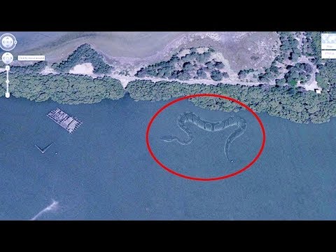 गूगल अर्थ पर कैद 6 समुंद्री दानव // 6 Mysterious Deep Sea Creatures Spotted