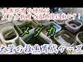 世界メダカ奇行^_^広島県三次市1-2 高級メダカはこうやって育てる！視聴者維持率46%