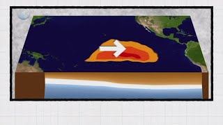 WEATHER SMART: What are 'El Nino' and 'La Nina' and how do they affect the Southeast Texas hurricane