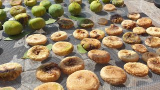 The easiest way to dry figs