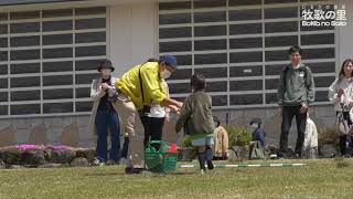 運動会が盛り上がるおもしろい種目のアイデア