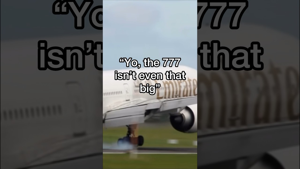 The Boeing 777’s true size 🫢 #aviation #shorts #777 #boeing #huge #boeing777