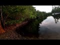 satilla river bottom fishing