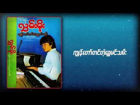 Hlwan Moe - ကျွန်တော်တင်တဲ့ရွှေမင်းသမီး (Audio)