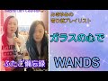 ガラスの心で/WANDS