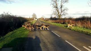 Warwickshire Hunt Cause Chaos Whilst Warwickshire Rct Make Their Priorities Clear