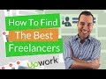 How to Find the Best Freelancer For Your Project or Job