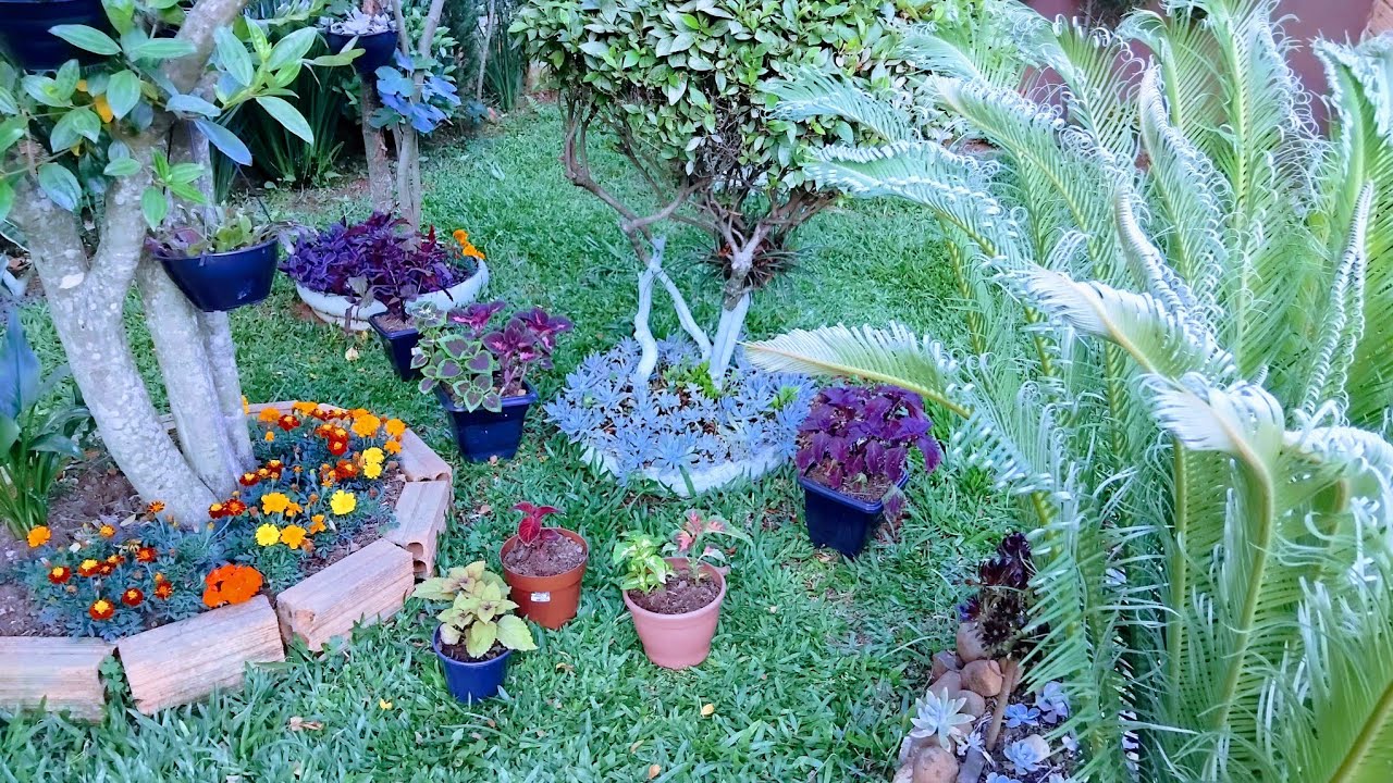 Meu jardim cheio de novidades lindas flores do mês. Novas plantas 🪴🌺