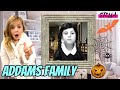 Wednesday Addams Traps Stella Wednesday Addams Traps Stella