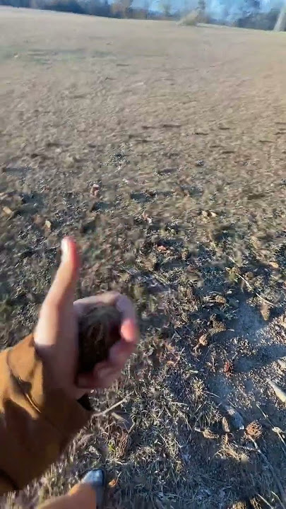 Magnolia M-67#shortsvideo #shorts #funny #shorts #viralvideo #magnolia #grenade #music #armydreamers