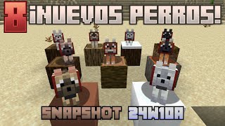 8 NUEVOS PERROS - Primeras Impresiones 24w10a