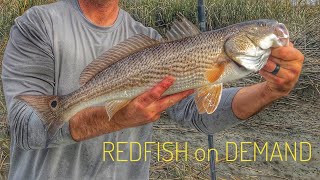 The Easiest Way to Catch RedFish   Savannah Ga