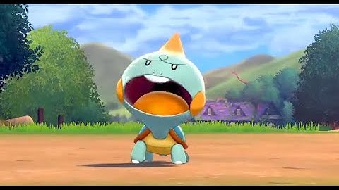 a wild chewtle appears