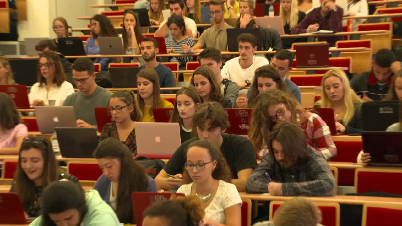 Présentation de L'UPVD