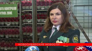 Поставки цветов в Новосибирск срываются из-за санкций Евросоюза