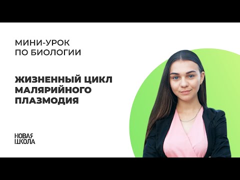 Жизненный цикл малярийного плазмодия | ЕГЭ по БИОЛОГИИ | Новая Школа ЕГЭ